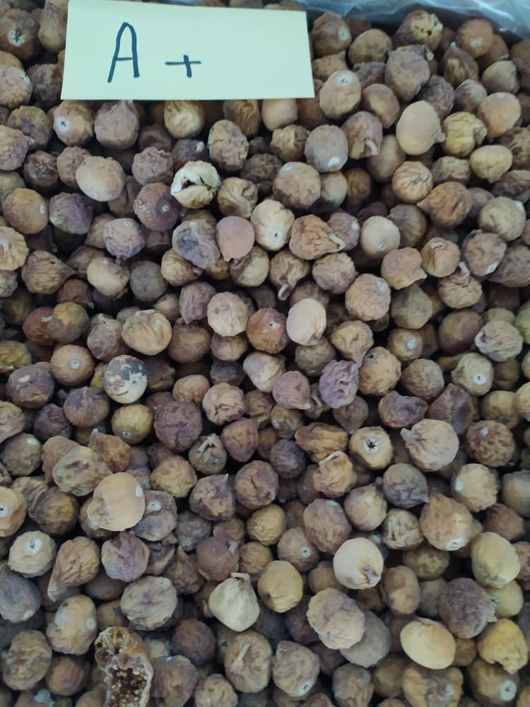 فروش انجیر خشک ضایعات